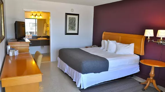 The Flamingo Resort - Gay Adult Resort | Florida - St. Petersburg - Clearwater (ve civarı) - St. Petersburg