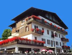 Hotel Giardino | Veneto - Belluno (vilayet) - Pieve di Cadore