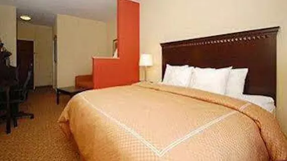 Comfort Suites Cullman | Alabama - Cullman (ve civarı) - Cullman