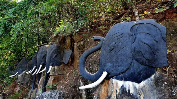 Popa Mountain | Mandalay Bölgesi - Popa