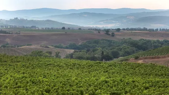 Agriturismo A. Bonacchi | Toskana - Siena (vilayet) - Montalcino