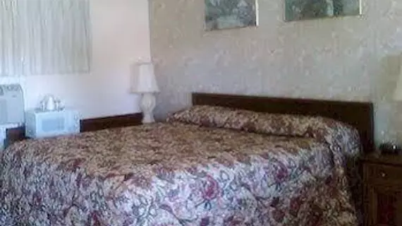 Viking Motel Solvang | Kaliforniya - Santa Barbara (ve civarı) - Solvang