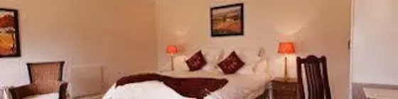 Seven Streams Bed and Breakfast | Gauteng - City of Tshwane - Johannesburg (ve civarı) - Sandton