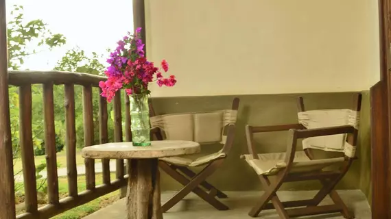 Finca Vibran Bed and Breakfast | Alajuela (ili) - San Jose (ve civarı) - San Isidro