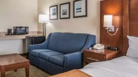 Comfort Suites Wixom / Novi | Michigan - Detroit (ve civarı) - Wixom