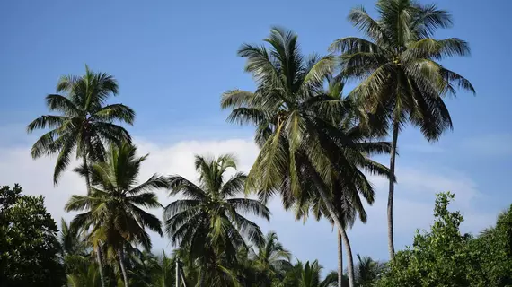 Terrace Green | Gampaha Bölgesi - Negombo - Dalupotha