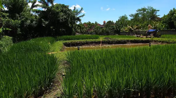 Saren Indah Hotel | Bali - Ubud