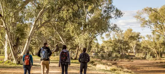 Alice Springs YHA - Hostel | Kuzey Bölgesi - Alice Springs (ve civarı) - Alice Springs