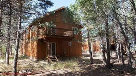 Jade House | Kaliforniya - Lake Tahoe (ve civarı) - Truckee