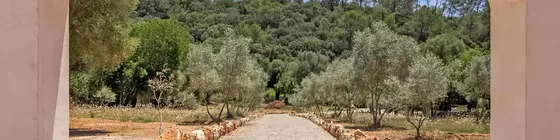 Casa Cascada Adults only | Balearic Adaları - Mayorka Adası - Pla de Mallorca