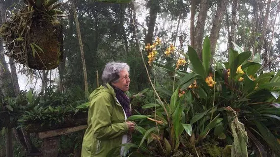 Las Orquídeas | Tungurahua - Banos