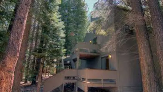 Hansel House | Kaliforniya - Lake Tahoe (ve civarı) - Truckee