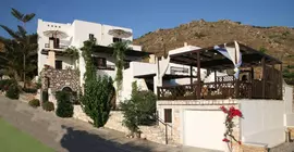 Aeolos Sunny Villas | Ege Adaları - Naxos