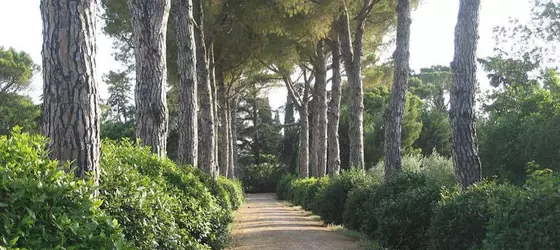 Agriturismo Il Parco di Kipo | Marche - Macerata (vilayet) - Montefano