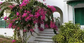 Panoramic View | Ege Adaları - Naxos