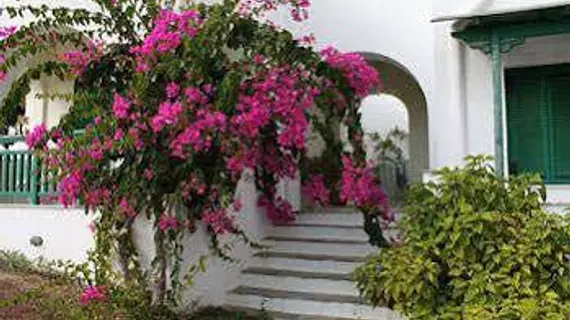 Panoramic View | Ege Adaları - Naxos