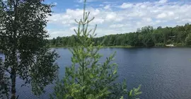 Eunica's Beaver Lodge | Wisconsin - Mercer