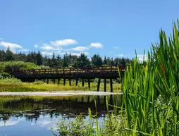 SurfCrest Resort Condominiums | Washington - Aberdeen (ve civarı) - Ocean Shores