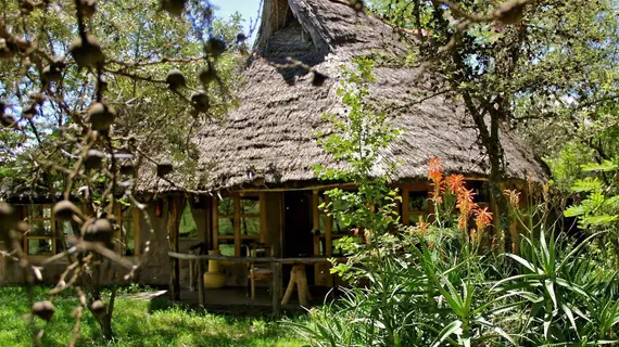 Chui Lodge | Nakuru İlçesi - Nakuru (ve civarı) - Naivasha