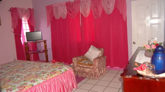 PinkHibiscus Guest House | Saint James - Montego Körfezi (ve civarı) - Montego Bay