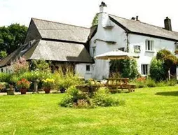 The Nobody Inn | Devon (kontluk) - East Devon District - Exeter