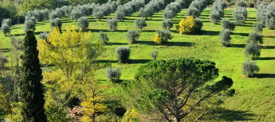 La Fornace Di Racciano | Toskana - Siena (vilayet) - San Gimignano - Val d'Elsa