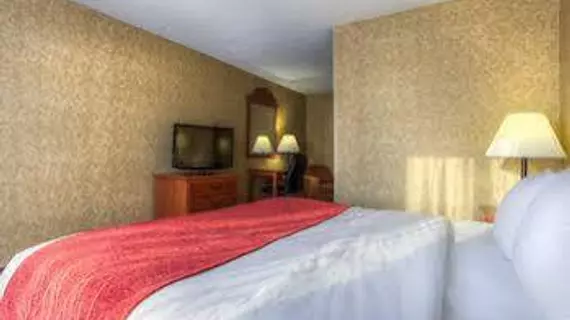 Comfort Inn & Suites | Kentucky - Owensboro (ve civarı) - Rockport