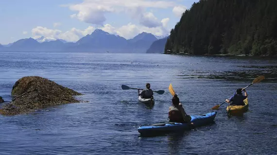 Orca Island Cabins | Alaska - Seward