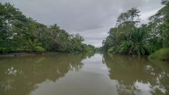 Hotel Oleaje Sereno | Puntarenas (ili) - Sierpe