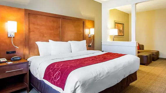 COMFORT SUITES ABILENE | Teksas - Abilene (ve civarı) - Abilene