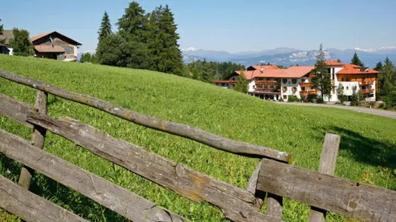 Hotel Peter | Trentino-Alto Adige - Güney Tirol (il) - Nova Ponente