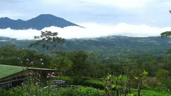 Heliconias Lodge and Rainforest | Alajuela (ili) - Bijagua