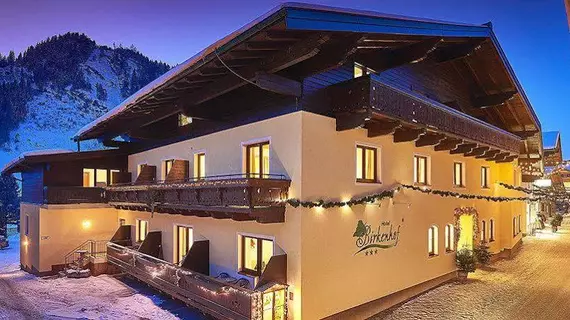 Hotel Birkenhof | Salzburg (eyalet) - Zell am See - Rauris