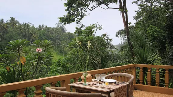 Graha Moding Villas | Bali - Ubud - Petulu