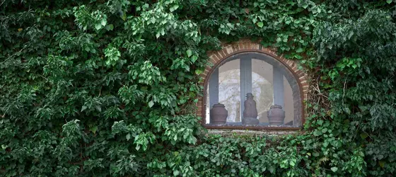 Fattoria Poggio al Sorbo | Toskana - Siena (vilayet) - Castellina in Chianti