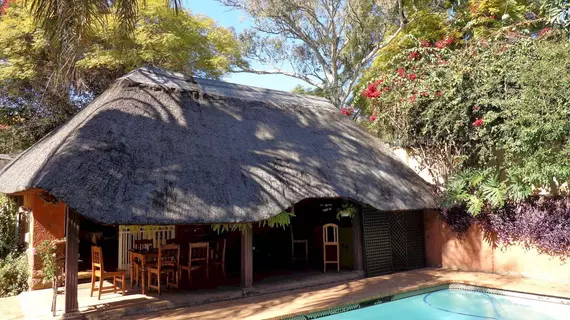 Treetops & Treats Guest House | Gauteng - City of Tshwane - Johannesburg (ve civarı) - Pretoria - Muckleneuk