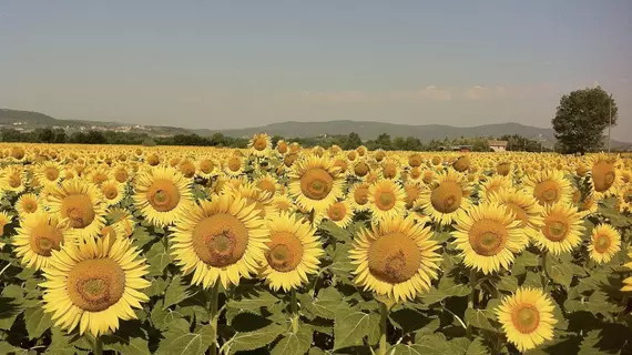 Agriturismo Di Charme La Ghirlanda | Umbria - Perugia (vilayet) - Gualdo Cattaneo - Saragano