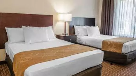 Comfort Suites Marion | Indiana - Marion (ve civarı) - Marion