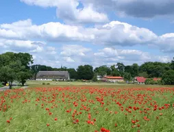 Residenz am Ostufer | Mecklenburg - Batı Pomerania - Mecklenburger Seenplatte - Rechlin