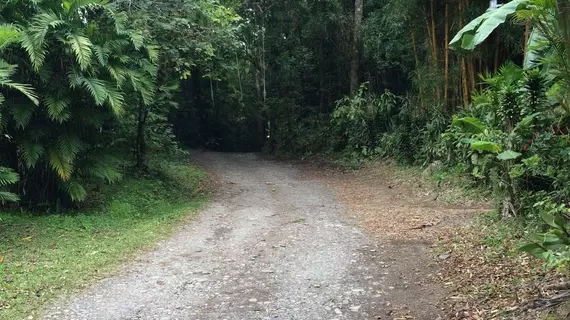 Hotel El Bosque | Puntarenas (ili) - Monteverde