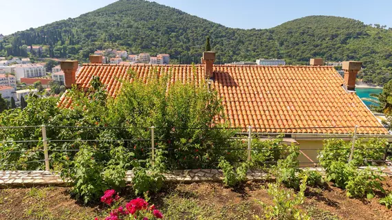 Apartments Mandy | Dubrovnik-Neretva - Dubrovnik (ve civarı) - Dubrovnik - Lapad - Babin Kuk