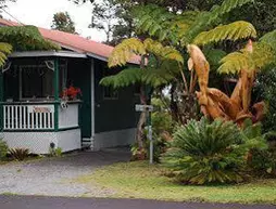 The Artist Cottage | Hawaii - Hawaii Adası - Volcano