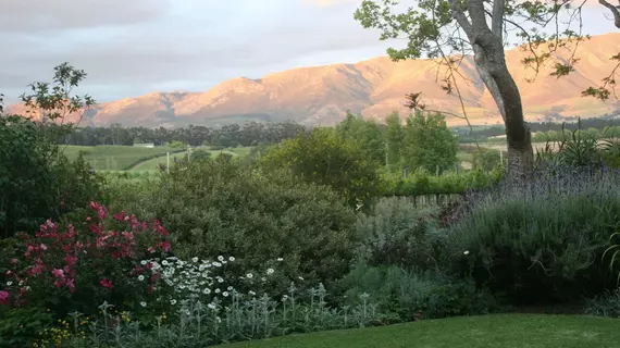 Belfield Wines and Farm Cottages | Western Cape (il) - West Coast DC - Drakenstein - Cape Town (ve civarı) - Paarl