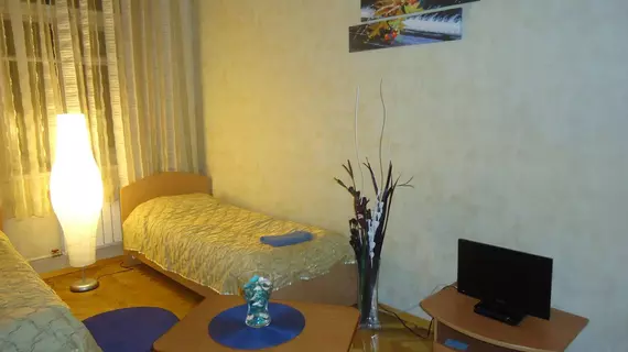 Adagio B&B on Zhukovskogo | Leningrad Bölgesi - St. Petersburg (ve civarı) - St. Petersburg - Tsentralny