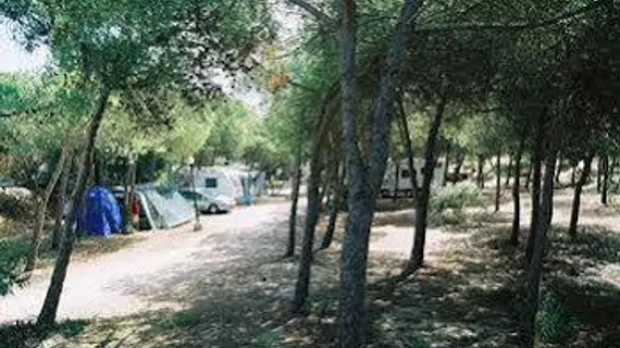 Camping Village Li Nibari | Sardinya - Sassari - Sorso