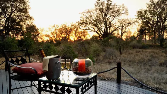 Hoyo Hoyo Safari Lodge | Mpumalanga - Mbombela - Kruger National Park