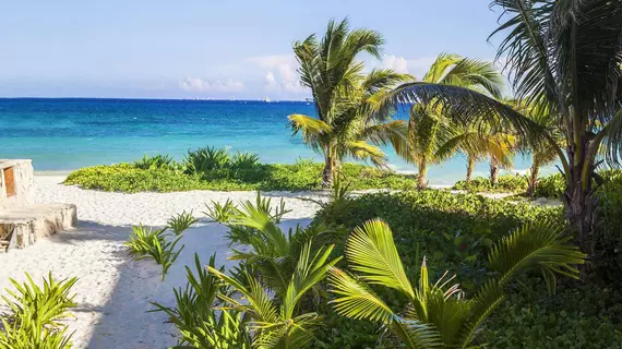 Homing Bird Casa Matuk | Quintana Roo - Solidaridad - Playa del Carmen - Playacar Plajı