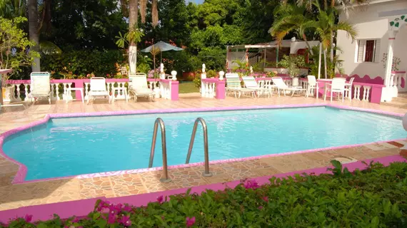 PinkHibiscus Guest House | Saint James - Montego Körfezi (ve civarı) - Montego Bay