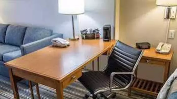 Comfort Inn & Suites Savannah Airport | Georgia - Savannah (ve civarı) - Savana