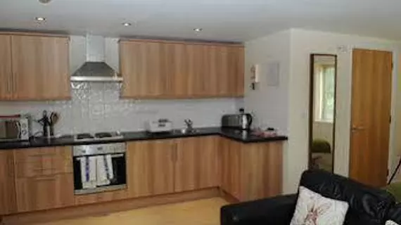 Cotham Lawn apartments | Bristol (ve civarı) - North Somerset - Bristol - Cotham